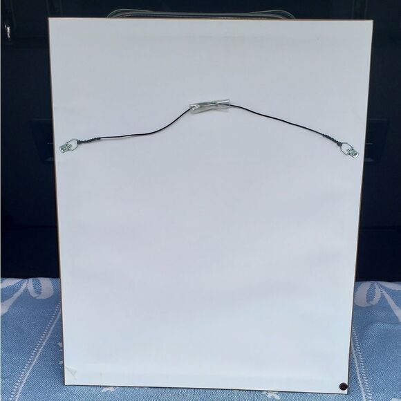 Signed Lena Liu "Summer Bouquet" Framed Print - Picture 7 of 9